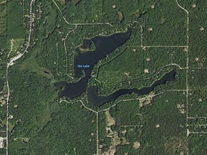 Tee Lake Homes and Land for Sale